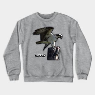 Osprey Crewneck Sweatshirt